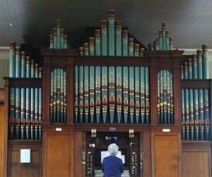 Organ