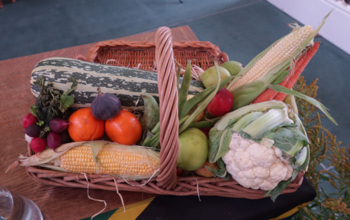 Harvest produce